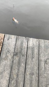 2eme de la journée